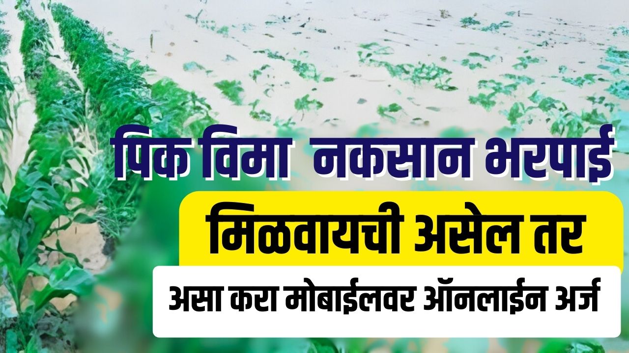 पिक विमा नुकसान भरपाई मिळवायची असेल तर असा करा मोबाईलवर ऑनलाईन अर्ज pik vima crop