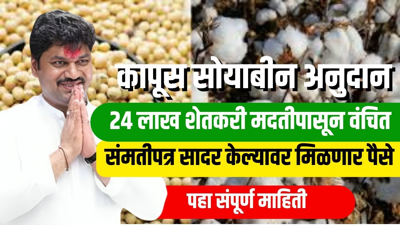 कापूस सोयाबीन अनुदान २४ लाख शेतकरी मदतीपासून वंचित, संमतीपत्र सादर केल्यावर मिळणार लाभ.