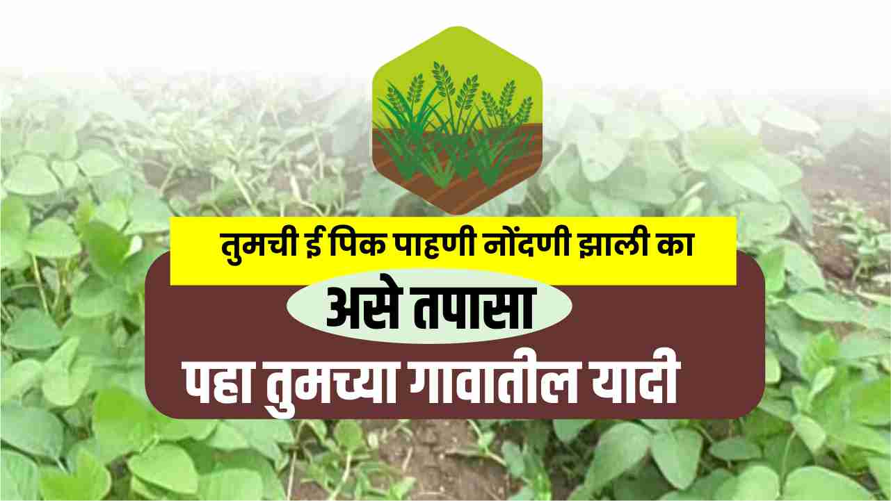 पहा तुमच्या गावातील ई पीक पाहणी यादी तुमच्या पिकांची नोंदणी झाली का असे तपासा